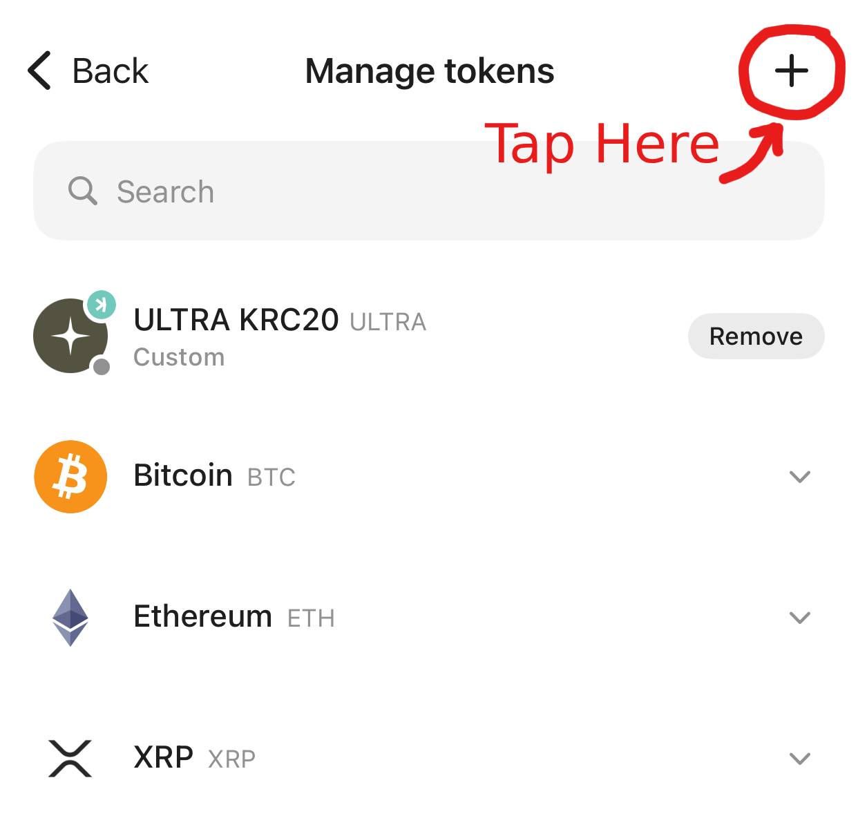 Enter Token Details